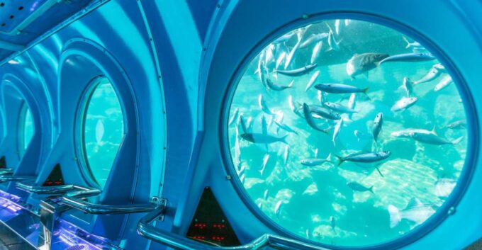 Puerto De Mogán: Submarine Tour - Depth and Duration
