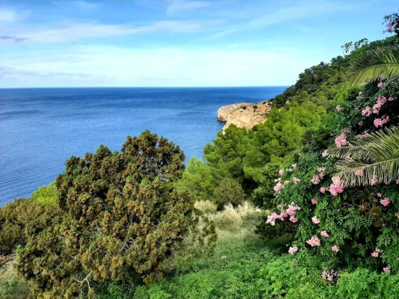 Puerto De San Miguel: Can Marçà Cave Guided Tour With Entry - Key Points