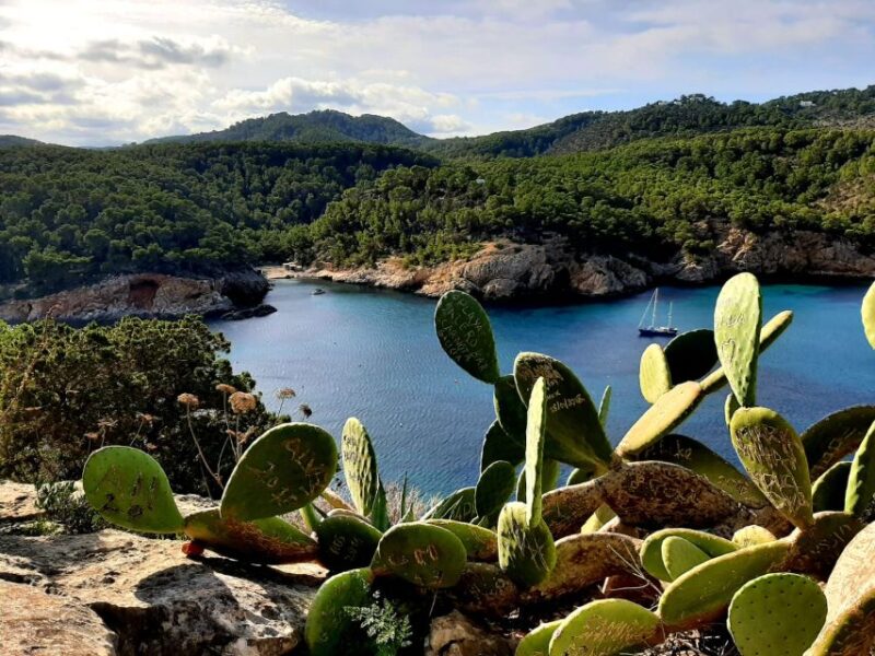 Puerto De San Miguel: Can Marçà Cave Guided Tour With Entry - Activity Highlights