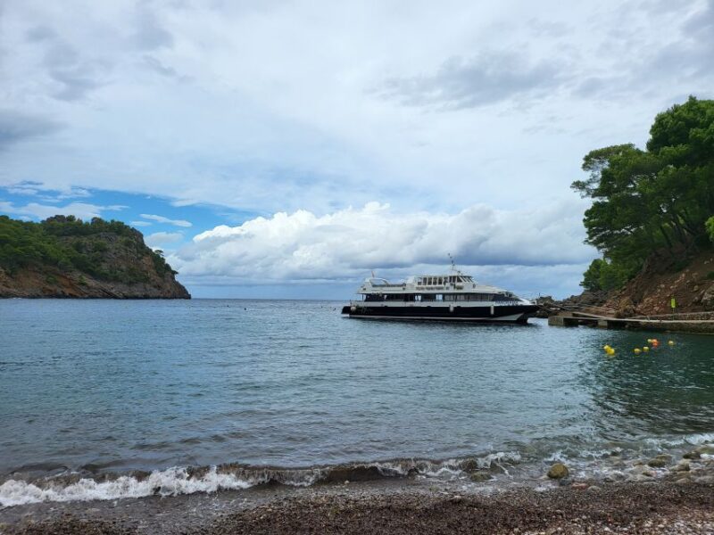 Puerto De Sóller: Cala Tuent Return Boat Trip - Highlights and Attractions