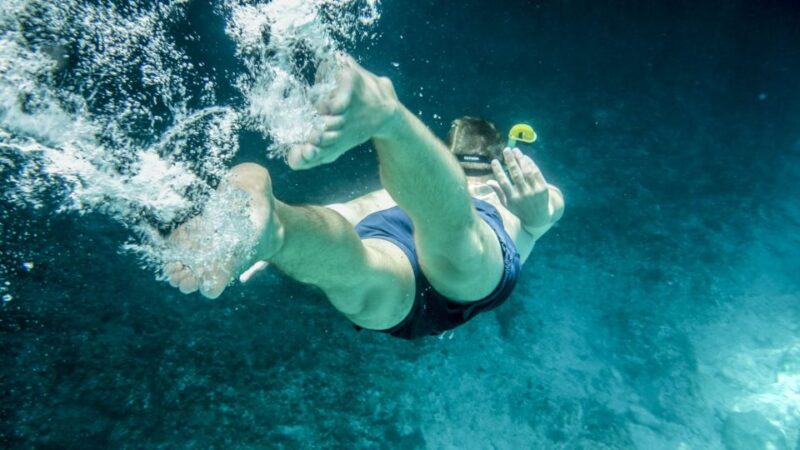 Puerto De Sóller: Cala Tuent Return Boat Trip - Exploring the Scenic Boat Trip