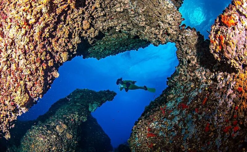 Puerto De Soller: Train and Discover Scuba Diving - Train Journey Details
