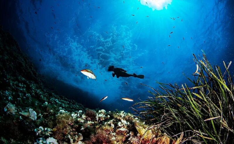 Puerto De Soller: Train and Guided Scuba Diving Experience - Requirements and Restrictions