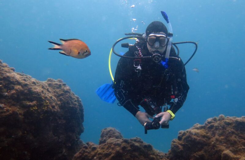 Puerto Del Carmen: 2 Guided Scuba Dives (Certified Only) - Transportation Provided
