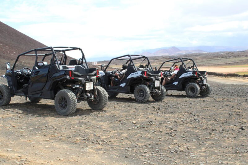 Puerto Del Carmen : Buggy Adventure - Convenient Booking Options