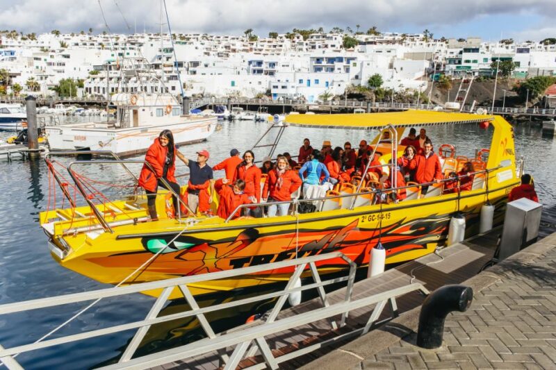 Puerto Del Carmen: Dolphin-Watching Speedboat Tour With Swim - Experience Highlights