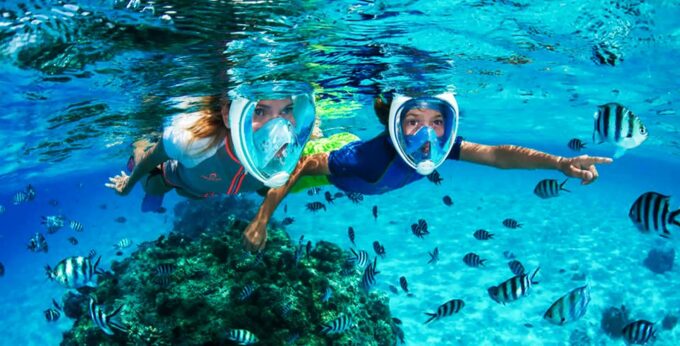 Puerto Del Carmen: Dolphin-Watching Speedboat Tour With Swim - Wildlife Sightings and Guarantees
