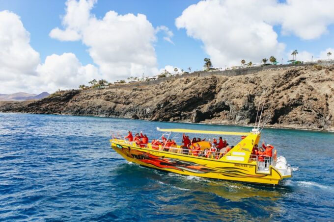 Puerto Del Carmen: Dolphin-Watching Speedboat Tour With Swim - Tour Recommendations