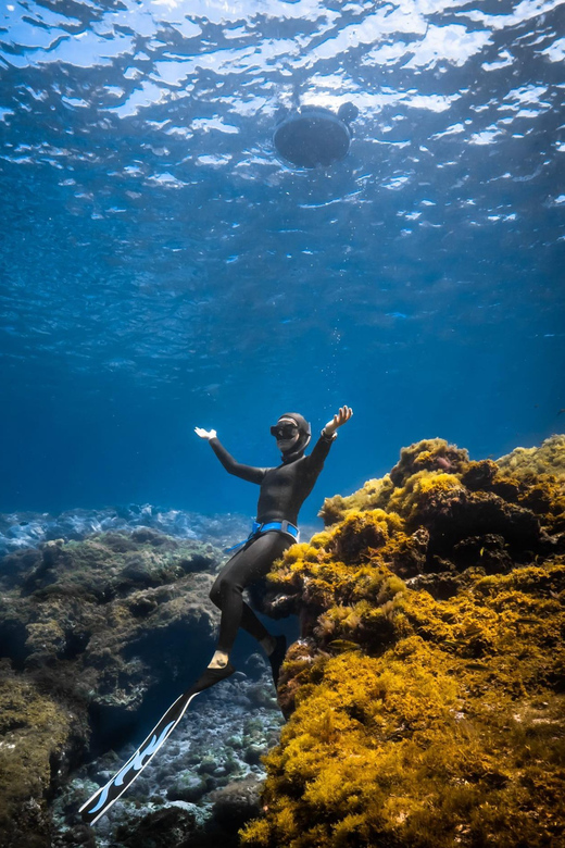 Puerto Del Carmen, Lanzarote: Snorkeling Tour - Key Points
