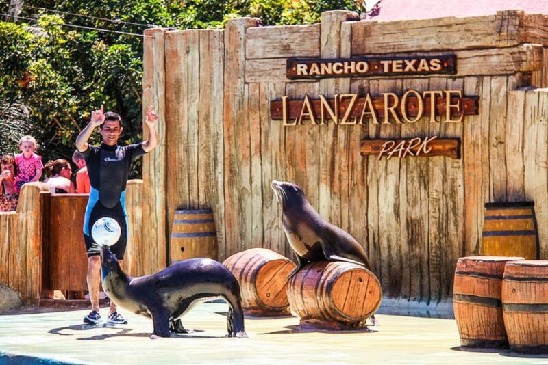 Puerto Del Carmen: Rancho Texas Lanzarote Park Entry Ticket - Animal Exhibits and Shows