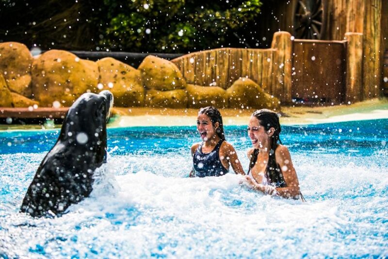 Puerto Del Carmen: Rancho Texas Lanzarote Park Entry Ticket - Leisure Facilities and Activities