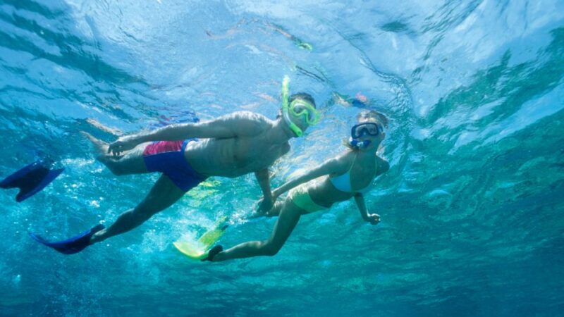 Puerto Del Carmen: Snokel Tour With an Instructor - Key Points