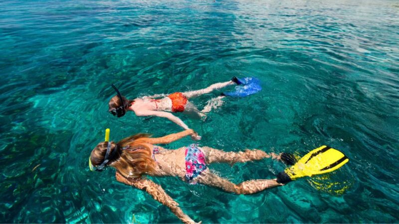 Puerto Del Carmen: Snokel Tour With an Instructor - Inclusions and Requirements