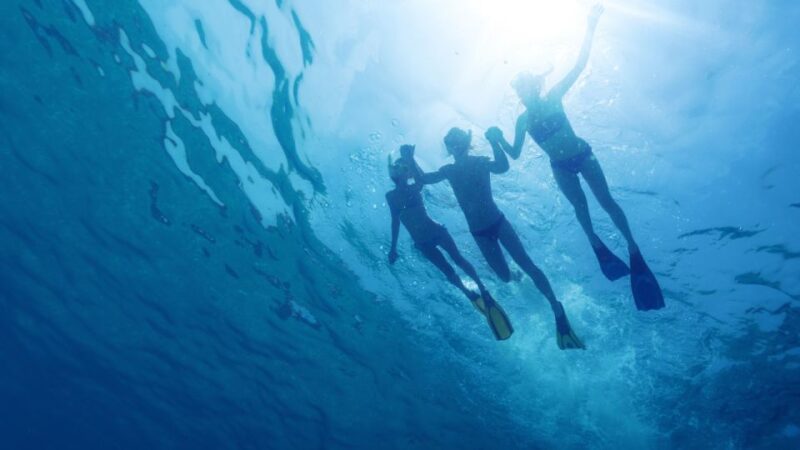 Puerto Del Carmen: Snokel Tour With an Instructor - Discovering Macaronesian Flora and Fauna