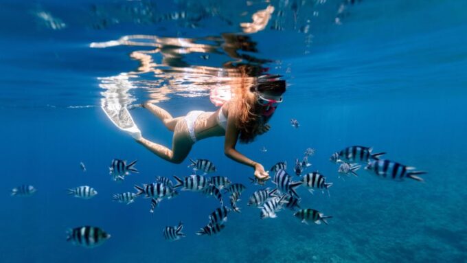 Puerto Del Carmen: Snokel Tour With an Instructor - Snorkeling Instruction and Safety