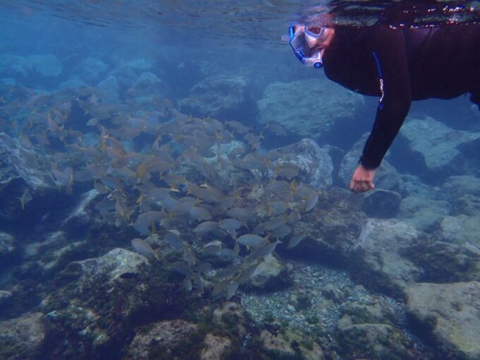 Puerto Del Carmen: Snorkeling Trip With Dive Instructor - Instructor Qualifications