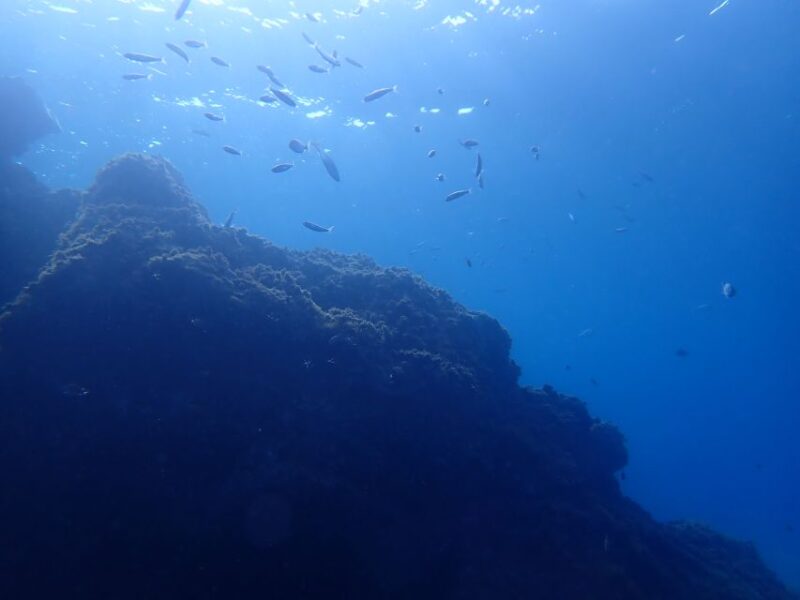 Puerto Del Carmen: Try Scuba Diving From the Beach - Included Scuba Diving Equipment