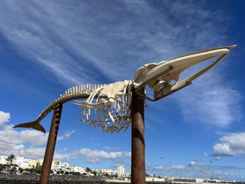 Puerto Del Rosario: Private City Tour - Key Points