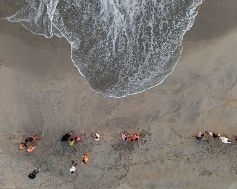 Puerto Escondido: Baby Sea Turtle Release - Key Points