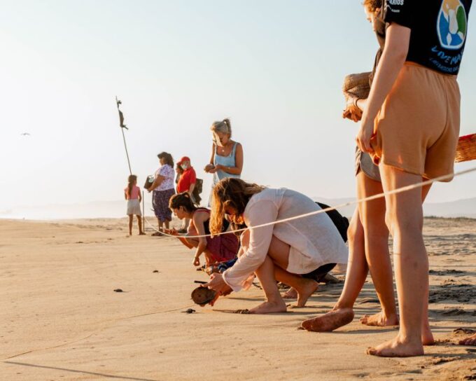 Puerto Escondido: Baby Sea Turtle Release - Tour Guide Expertise