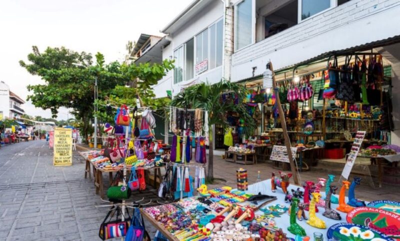 Puerto Escondido: Boat Cruise and Market Visit - Coastline and Beaches