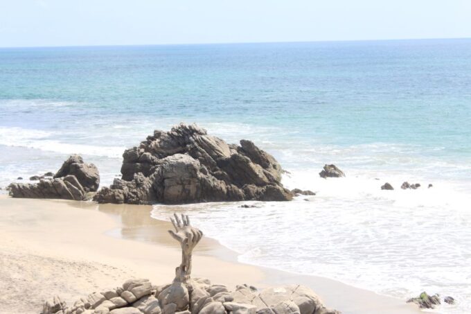 Puerto Escondido: Boat Cruise and Market Visit - Whats Included