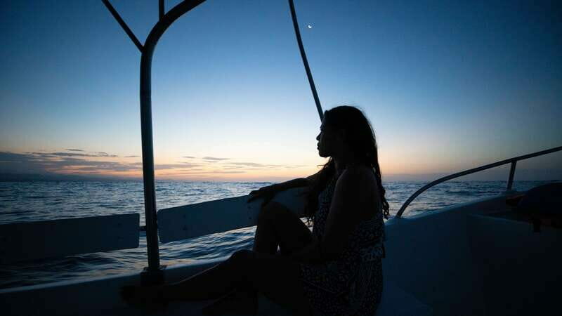 Puerto Escondido: Boat Tour among Dolphins and Turtles - What to Expect from the Tour