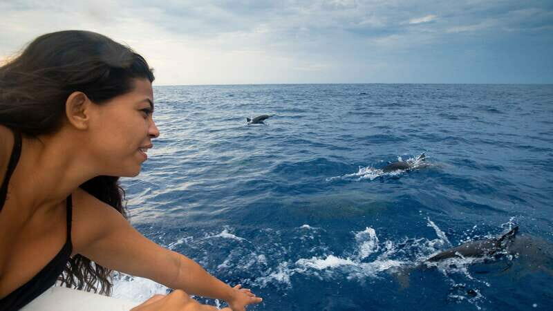 Puerto Escondido: Boat Tour among Dolphins and Turtles - Who Will Love This Experience?