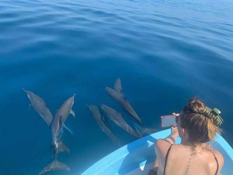 Puerto Escondido: Boat Tour to see Dolphins and Marine Life - A Detailed Look at the Tour Experience