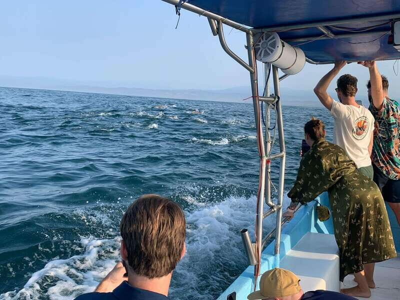 Puerto Escondido: Boat Tour to see Dolphins and Marine Life - Practical Tips for Your Trip