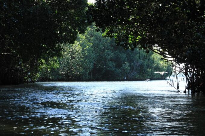 Puerto Escondido: Day Trip to Chacahua National Park - Alcohol Policy