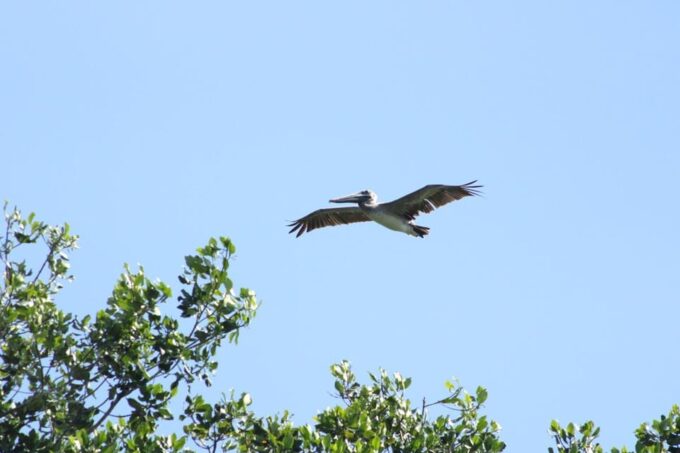 Puerto Escondido: Day Trip to Chacahua National Park - Moonlight and Visibility