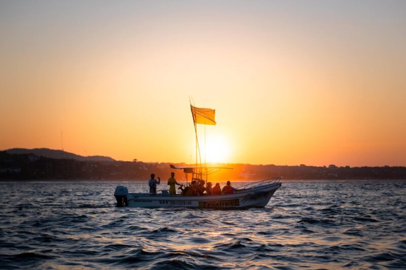 Puerto Escondido: Dolphin Watching - Experience Highlights