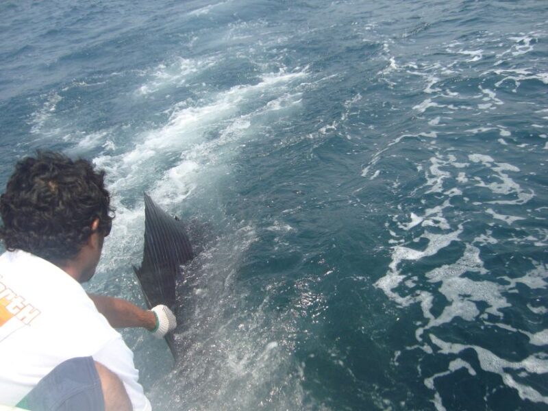 Puerto Escondido: Fishing Experience at Sunrise - Pickup and Boat Details