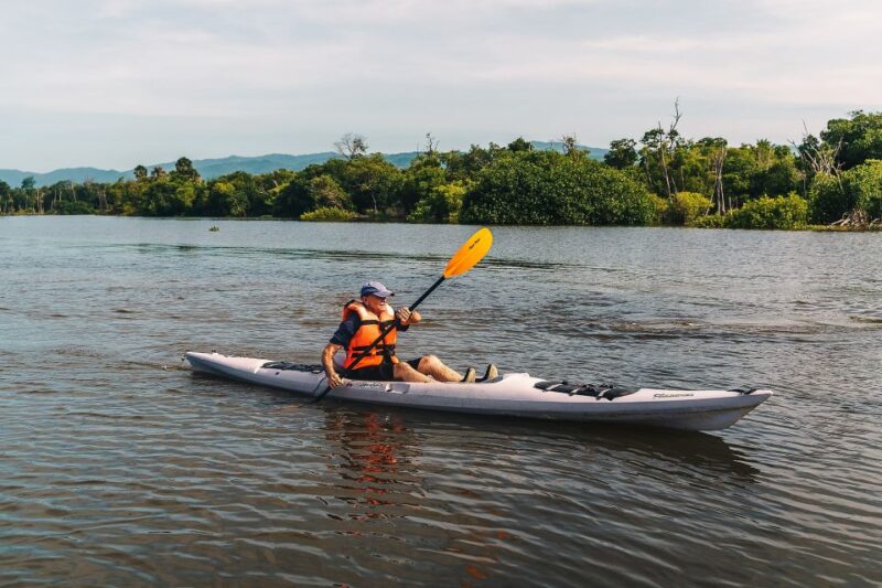 Puerto Escondido: Kayak Adventure On Manialtepec Lagoon - Ecosystem and Wildlife