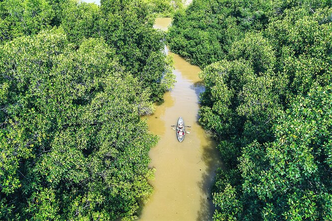 Puerto Escondido: Manialtepec Lagoon by Kayak - Participant Requirements