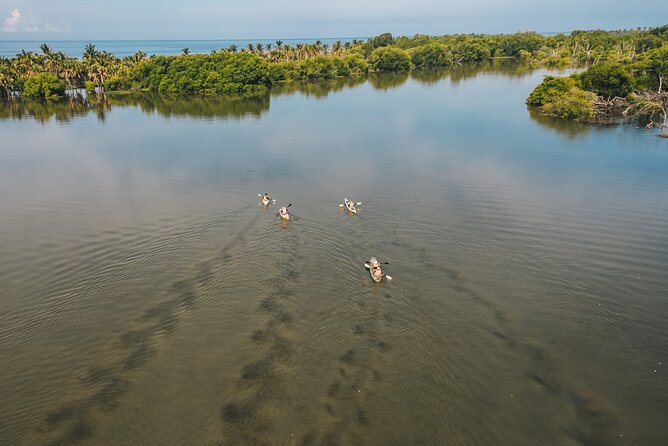 Puerto Escondido: Manialtepec Lagoon by Kayak - Customer Experiences and Reviews
