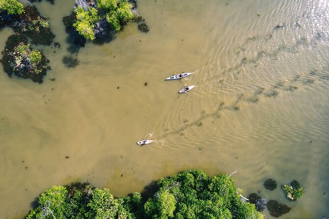 Puerto Escondido: Manialtepec Lagoon by Kayak - Tips for a Memorable Kayaking Adventure