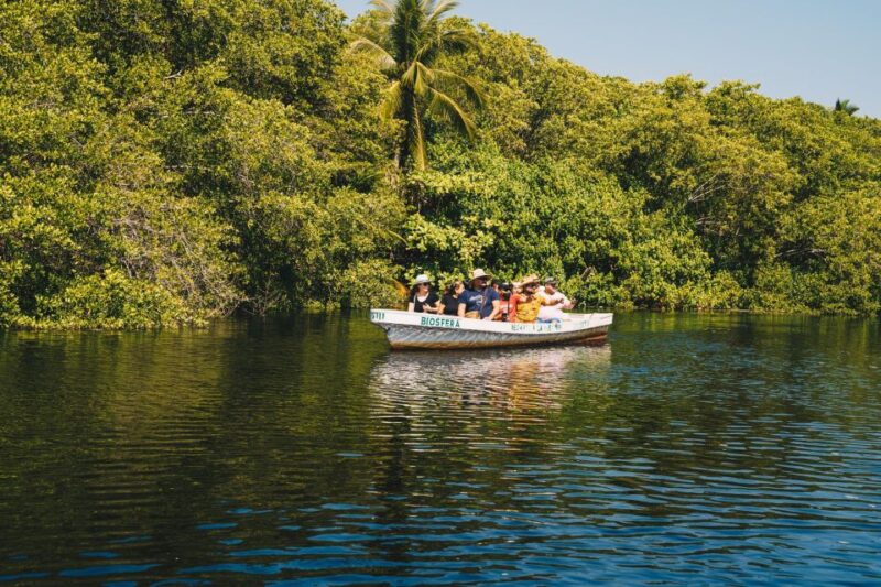 Puerto Escondido: Oaxaca Coast Wildlife Ecotour - Mazunte Exploration