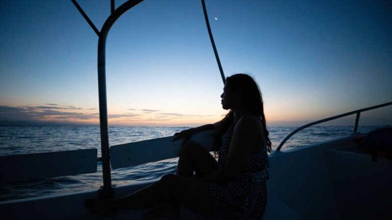 Puerto Escondido: Sunrise and Dolphin Watching Tour - Transportation and Pickup