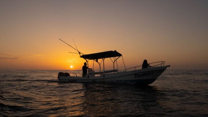Puerto Escondido: Sunrise and Dolphin Watching Tour - Customer Ratings and Feedback