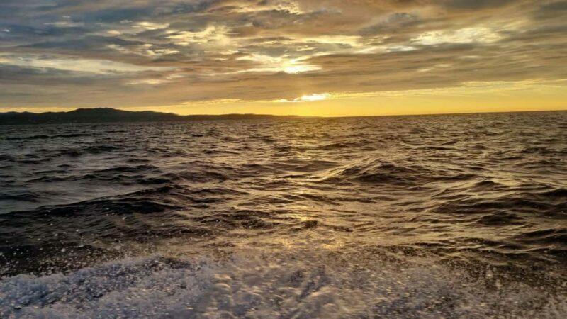 Puerto Escondido: The Best Adventure for Dolphin Watching - An Overview of the Experience