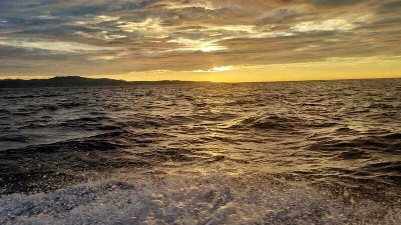 Puerto Escondido: The Best Adventure for Dolphin Watching - Ending at Puerto Angelito Beach