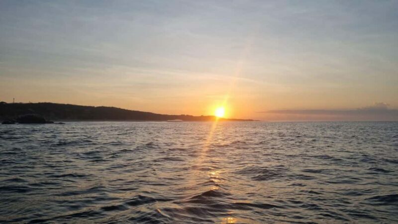 Puerto Escondido: The Best Adventure for Dolphin Watching - Who Should Book This Tour?