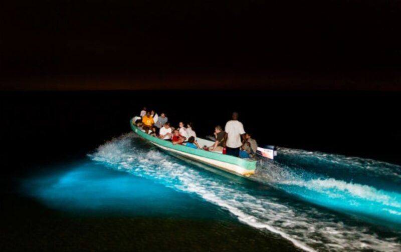 Puerto Escondido: Turtle Release and Bioluminescent Plankton - Activity Overview