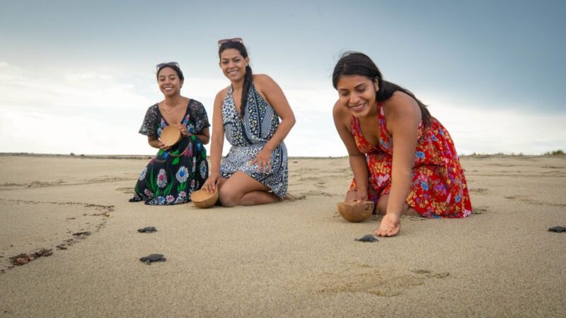 Puerto Escondido: Turtle Release and Bioluminescent Plankton - Tour Details