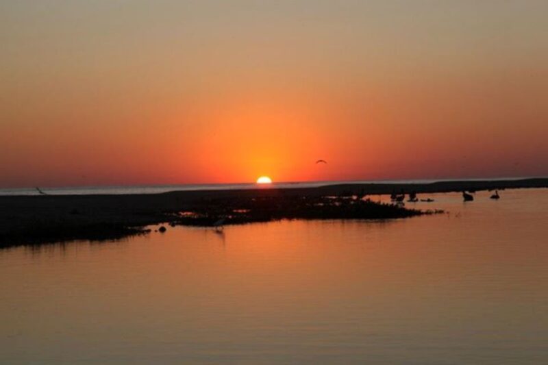 Puerto Escondido: Turtle Release and Bioluminescent Plankton - Sunset at Punta Colorada