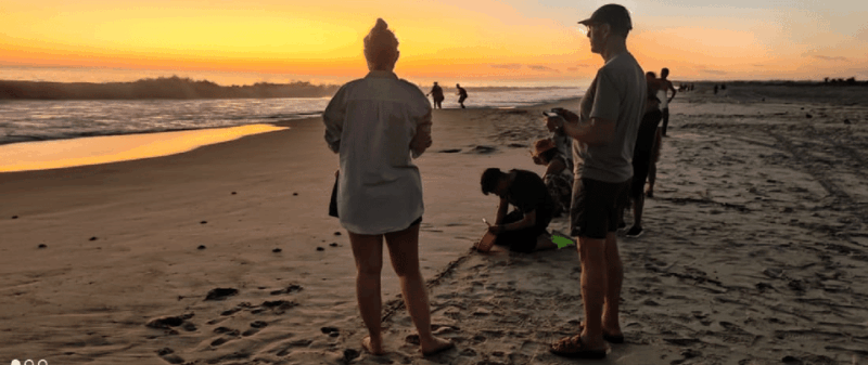 Puerto Escondido: Turtle Release Experience - Transportation Details