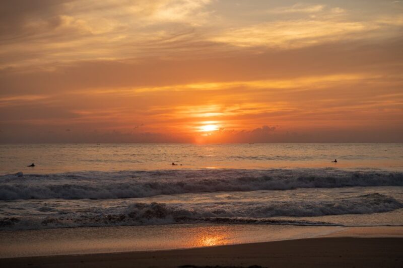 Puerto Escondido: Turtle Release Experience - Preparing for the Release