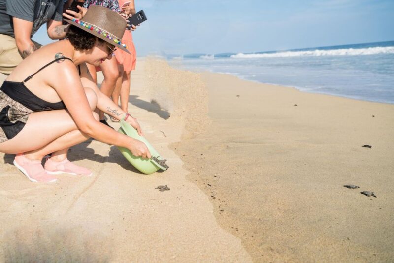 Puerto Escondido: Turtle Release Experience - Sunset Views and Beach